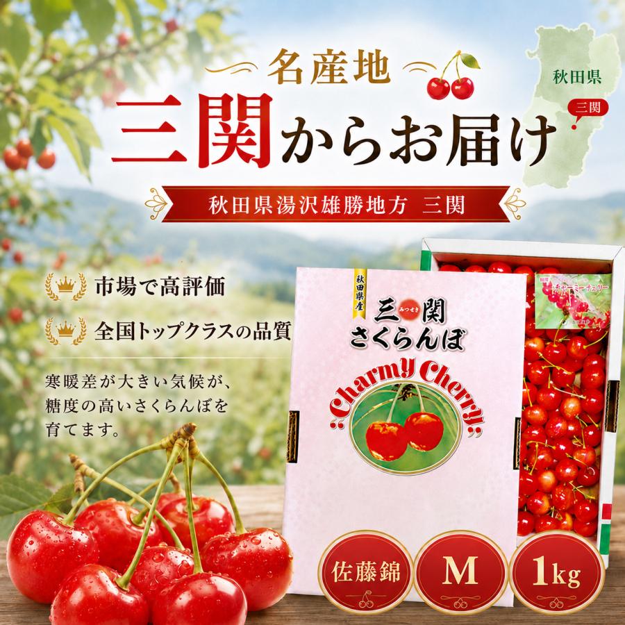 さくらんぼ 佐藤錦 秋田県 三関産 1kg Mサイズ バラ詰め JAこまち お