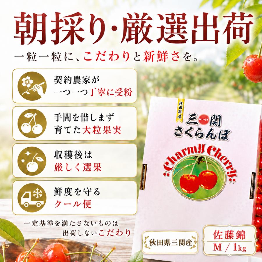 さくらんぼ 佐藤錦 秋田県 三関産 1kg Mサイズ バラ詰め JAこまち お
