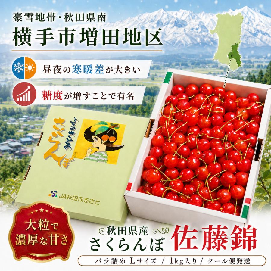 さくらんぼ 佐藤錦 秋田県 増田産 1kg Lサイズ バラ詰め JA秋田