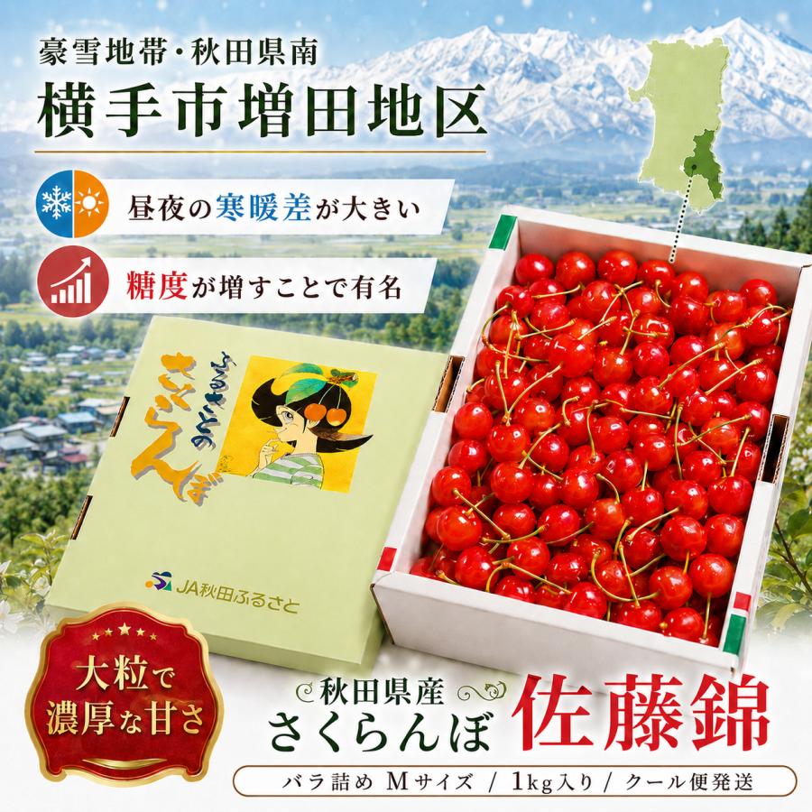 さくらんぼ 佐藤錦 秋田県 増田産 1kg Mサイズ バラ詰め JA秋田