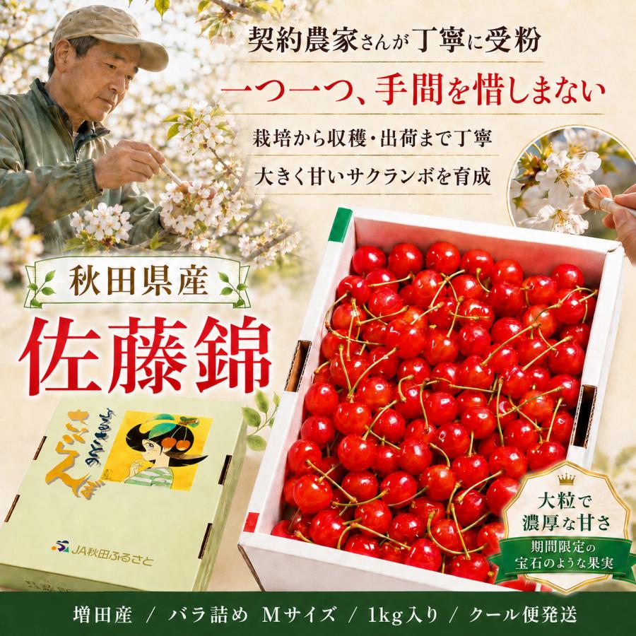 さくらんぼ 佐藤錦 秋田県 増田産 1kg Mサイズ バラ詰め JA秋田