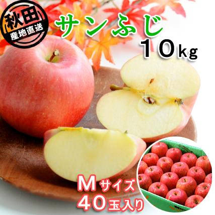 秋田県産 りんご サン ふじ 10kg Mサイズ 40玉 出荷期間:11月下旬〜12