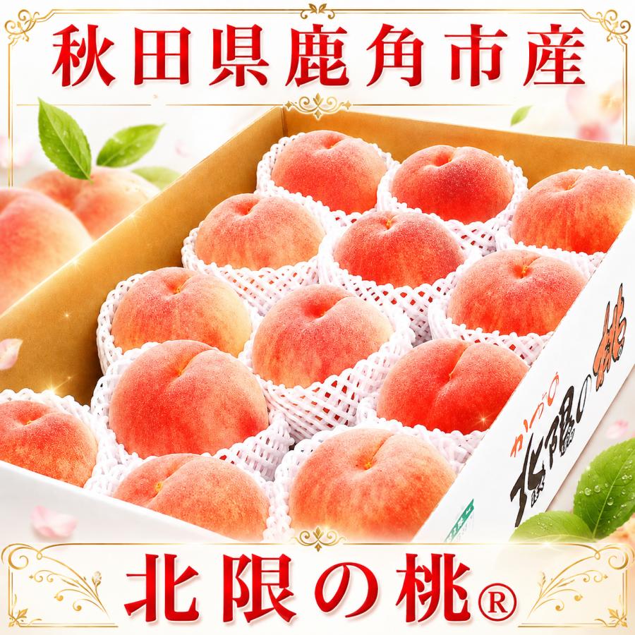 KUMIちゃん、白桃５キロギフト用 北限の桃 5kg 12〜18玉入 秋田県産 JAかづの クール便 白桃 ギフト