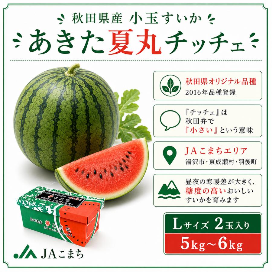 小玉すいか あきた夏丸チッチェ 秋田県産 JAこまち Lサイズ 2玉入り 