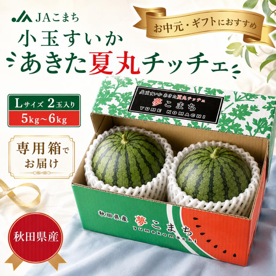 小玉すいか あきた夏丸チッチェ 秋田県産 JAこまち Lサイズ 2玉入り