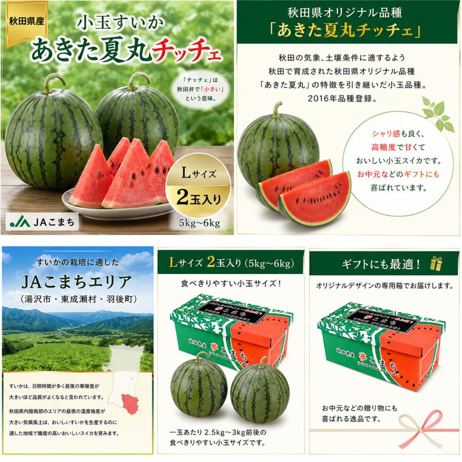 小玉すいか あきた夏丸チッチェ 秋田県産 JAこまち Lサイズ 2玉入り