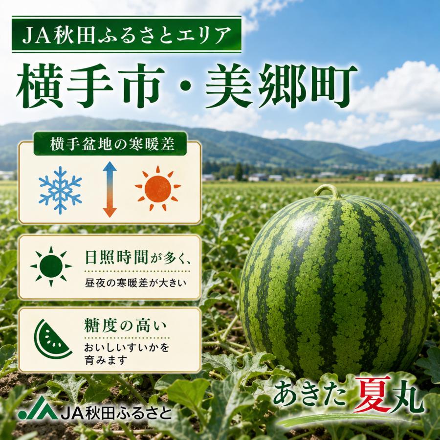 すいか 秋田県産 あきた夏丸 超大玉5L 1玉10〜12kg JA秋田ふるさと