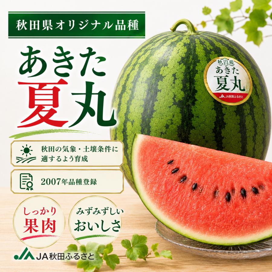 訳あり 秋田県産 大玉スイカ あきた夏丸 3Lサイズ2玉入り すいか 秋田県産 あきた夏丸 超大玉5L 1玉10〜12kg JA秋田ふるさと