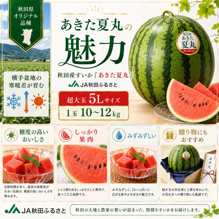 すいか 秋田県産 あきた夏丸 超大玉5L 1玉10〜12kg JA秋田ふるさと