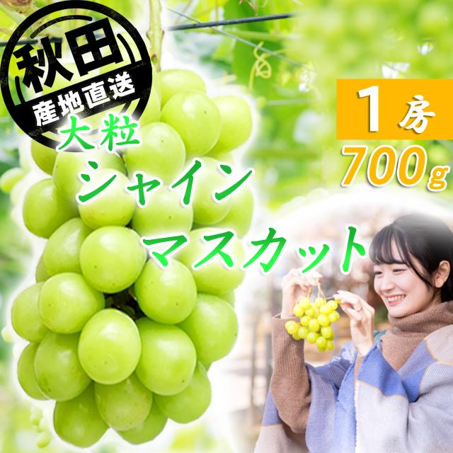 シャインマスカット 大房 1房 化粧箱入 秋田産 大粒 ぶどう 出荷期間9月中旬〜10月下旬 | 