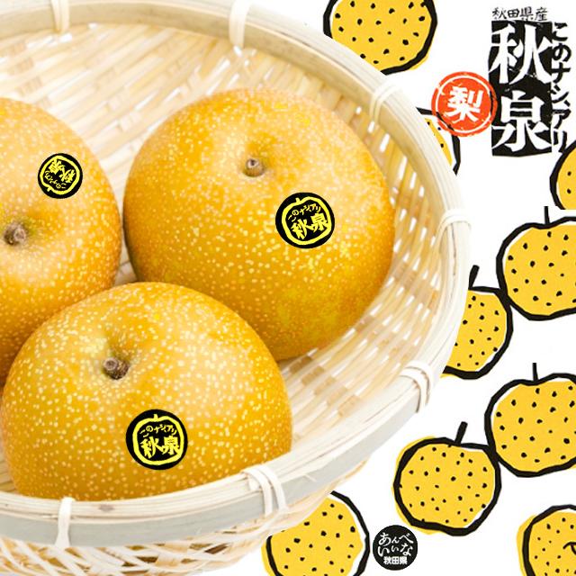 秋田産 梨 秋泉 5kg 5-10玉入 糖度15度の甘いナシ 出荷期間9月下旬