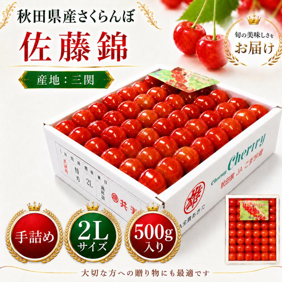 さくらんぼ 佐藤錦 秋田県 三関産 500g 2Lサイズ 手詰め JAこまち お