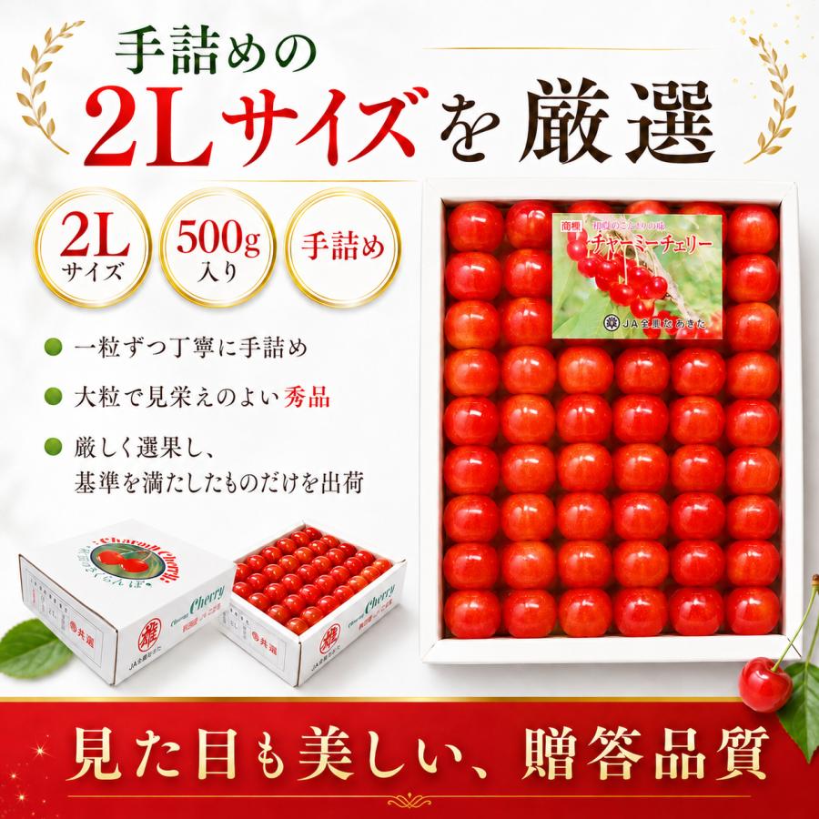 さくらんぼ 佐藤錦 秋田県 三関産 500g 2Lサイズ 手詰め JAこまち お