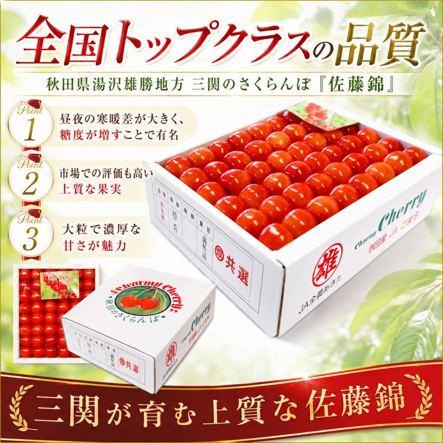 さくらんぼ 佐藤錦 秋田県 三関産 500g 2Lサイズ 手詰め JAこまち お