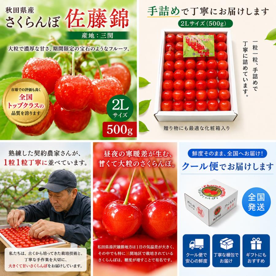 さくらこ ゼオスキン 新品 3点セット ZO SKIN HEALTH（ゼオスキン