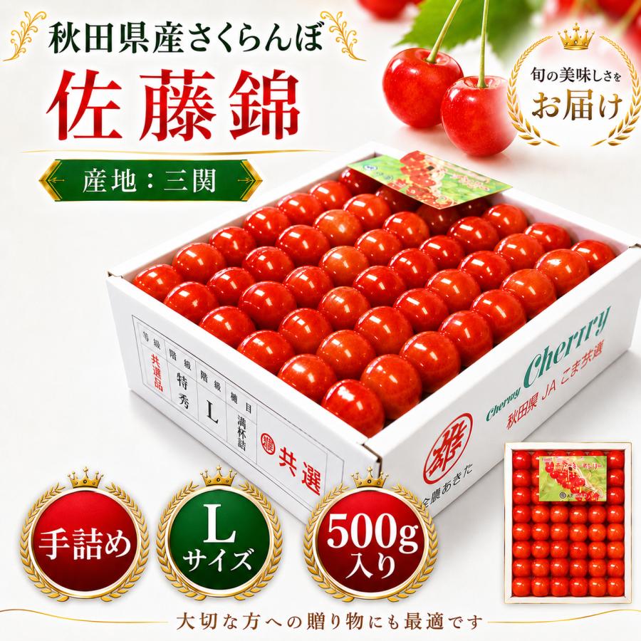 さくらんぼ 佐藤錦 秋田県 三関産 500g Lサイズ 手詰め JAこまち お
