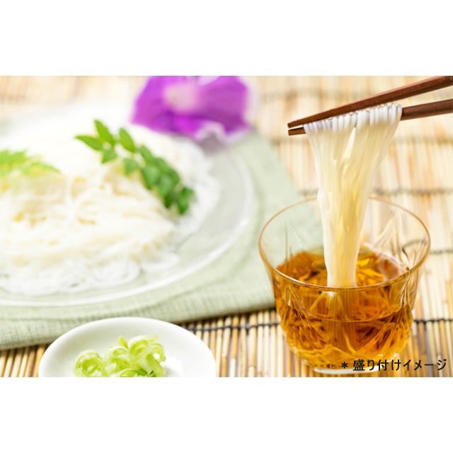 佐藤養助 八代目 稲庭うどん&そうめん詰合せ 14人前 素麺 秋田 お中元
