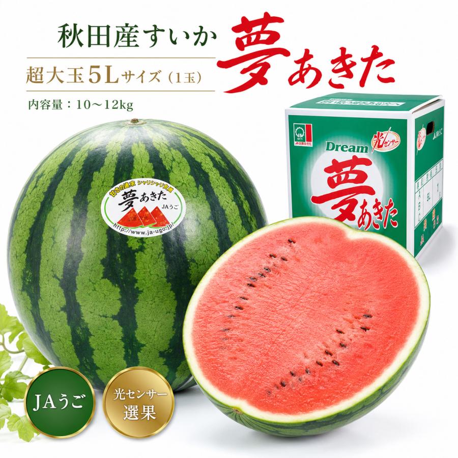 夢あきた すいか 秋田産 JAうご 光センサー選果 超大玉5Lサイズ 1玉 10
