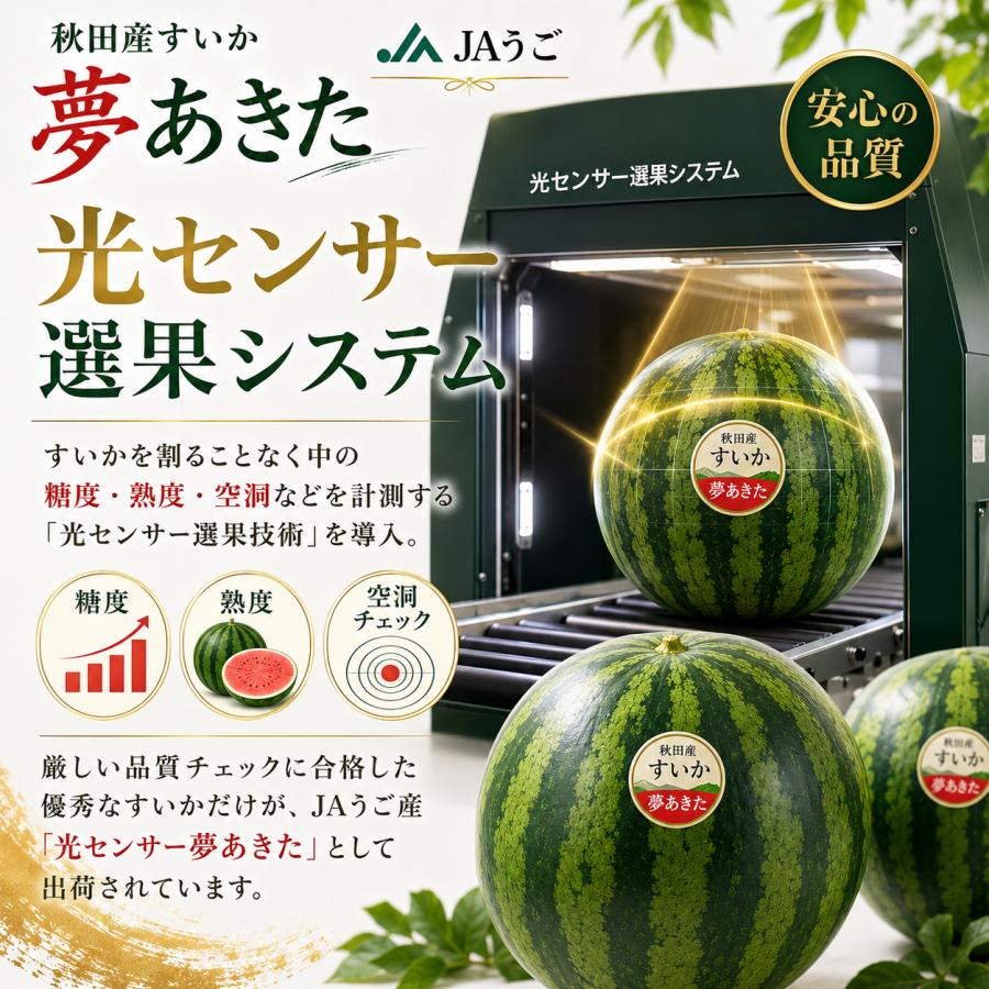 すいか専用 秋田県産 すいか 夢あきた Lサイズ 2玉 12kg〜14kg JAうご 光センサー