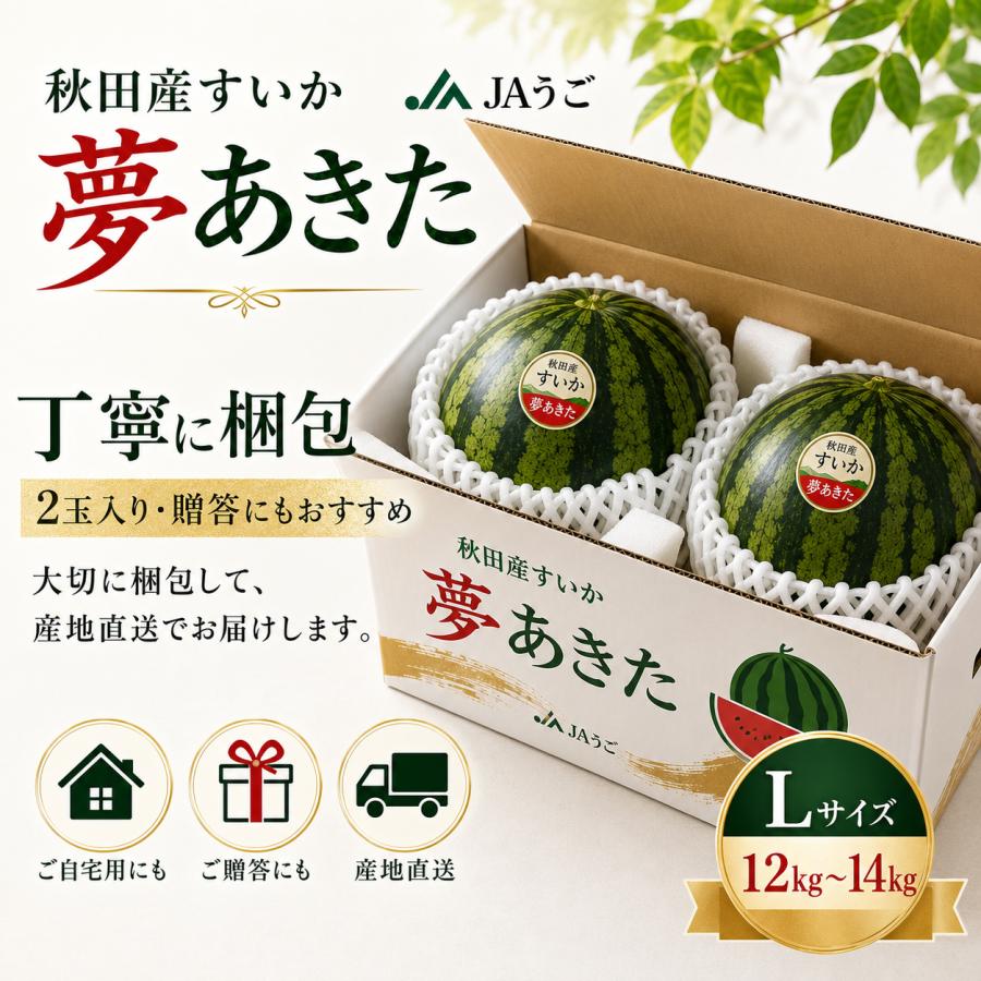 秋田県産 すいか 夢あきた Lサイズ 2玉 12kg〜14kg JAうご 光センサー