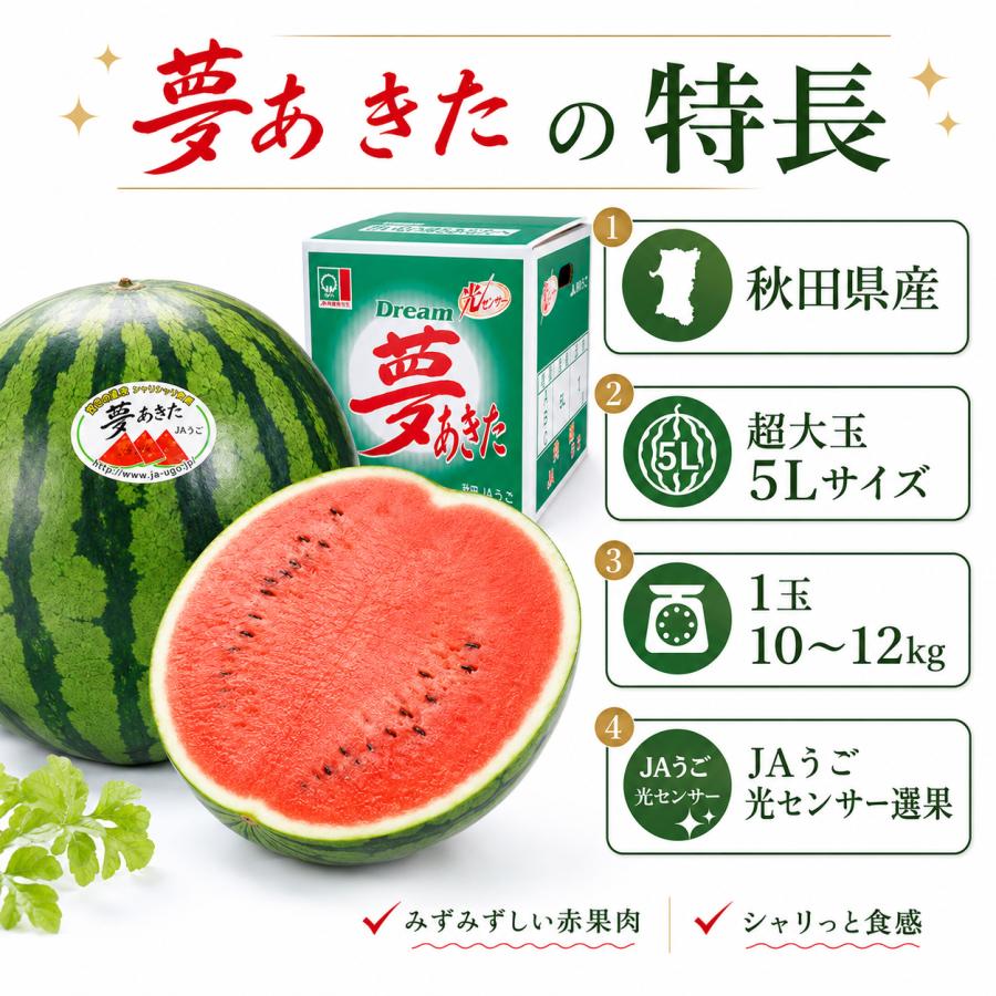 夢あきた すいか 秋田産 JAうご 光センサー選果 超大玉5Lサイズ 1玉 10