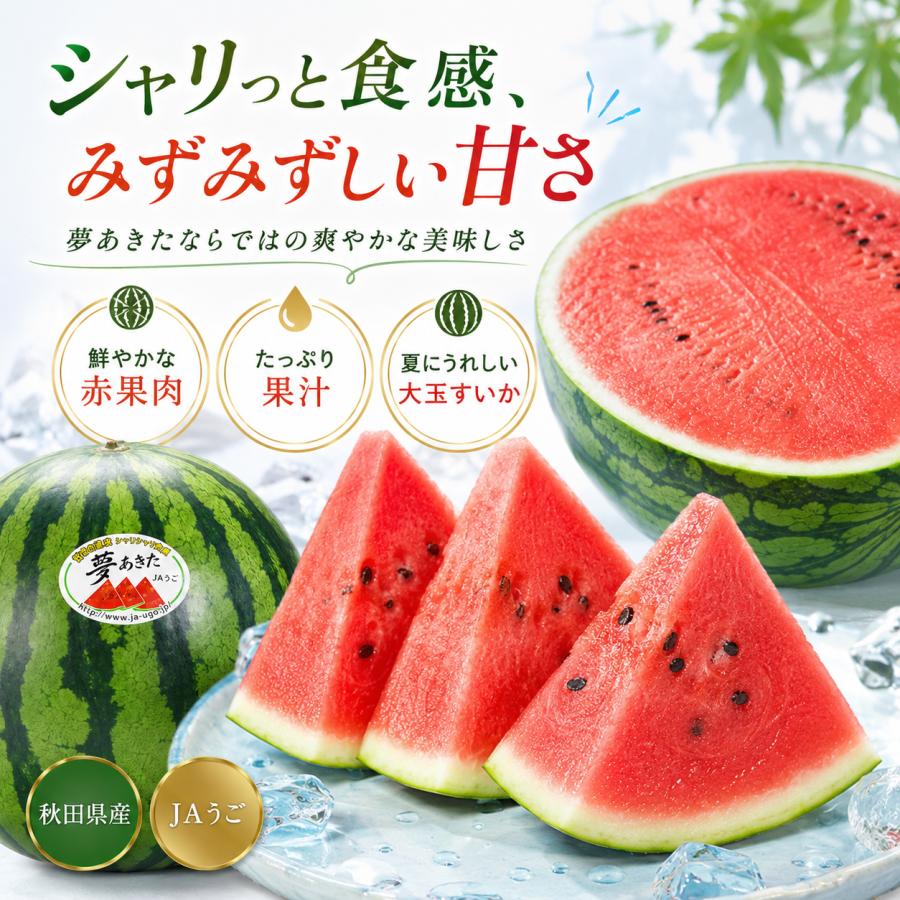 夢あきた すいか 秋田産 JAうご 光センサー選果 超大玉5Lサイズ 1玉 10
