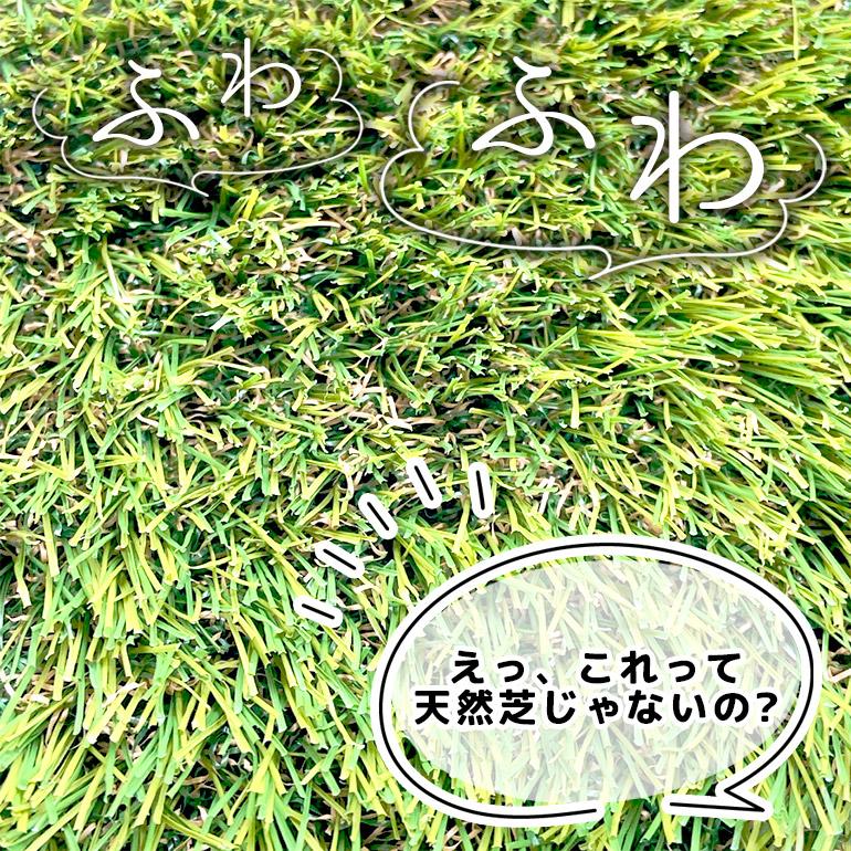 高品質人工芝 Eternal Turf(エターナルターフ)【T35】1ロール 1m×10m 芝高35mmの画像