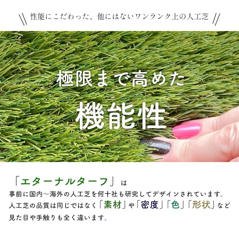 高品質人工芝 Eternal Turf(エターナルターフ)【T35】1ロール 1m×10m 芝高35mmの画像