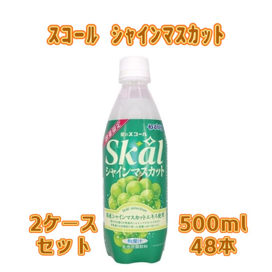 Skal 【2ケース】【もったいない】南日本酪農協同 スコール 愛の 
