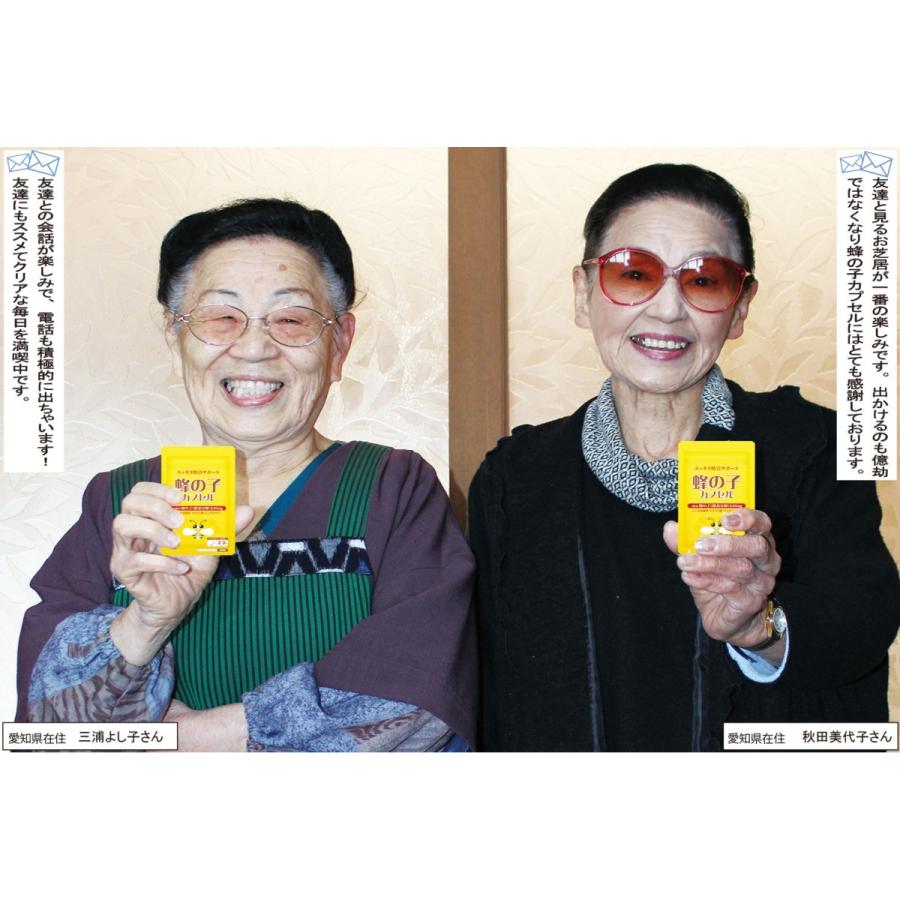 蜂の子 サプリ サプリメント（ 1粒中酵素分解蜂の子240mg配合）約1