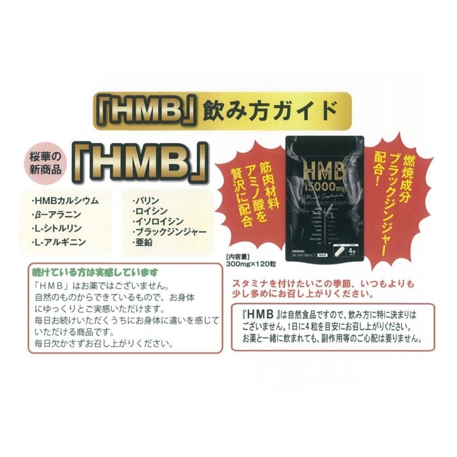 筋肉増強サプリ HMB 燃焼成分ブラックジンジャー配合 : オウカ