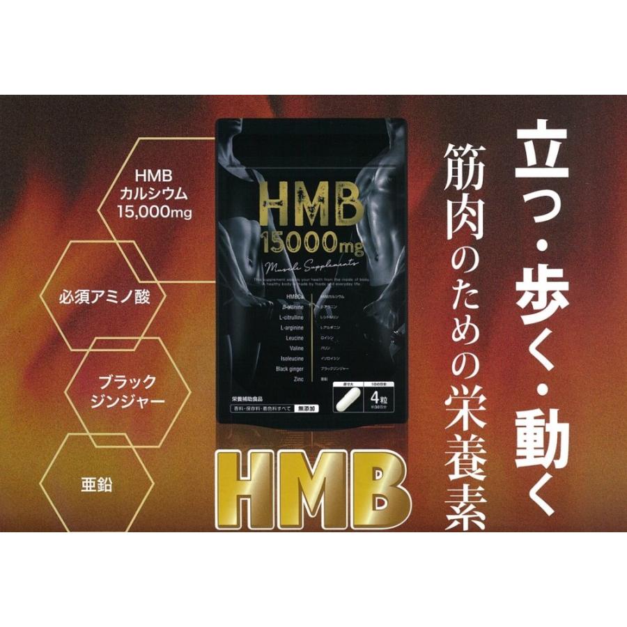 筋肉増強サプリ HMB 燃焼成分ブラックジンジャー配合 : オウカ