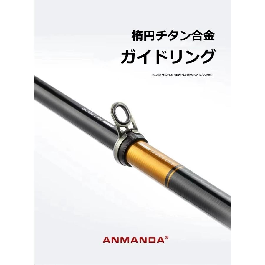 ANMANDA 磯竿 金狐 海釣り 磯釣り フカセ釣り 浮き釣り サビキ釣り