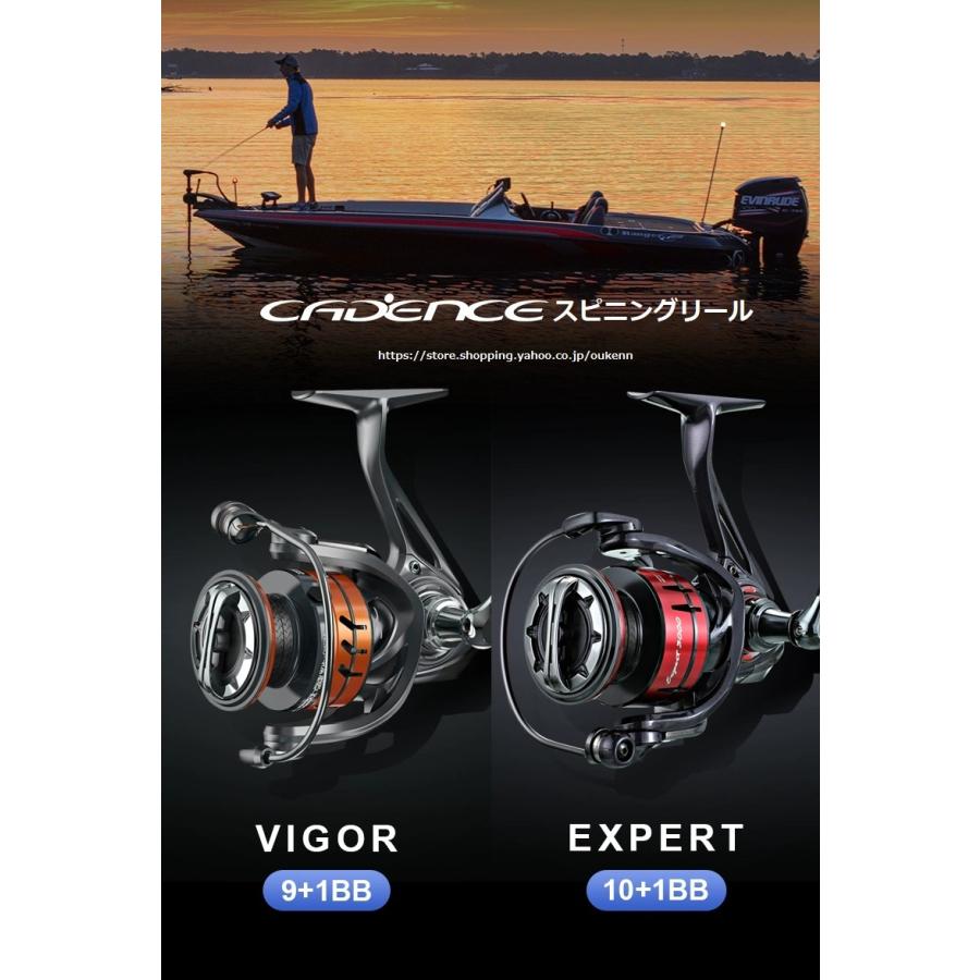 CADENCE スピニングリール マグネシウム合金 ステンレス製ベアリング