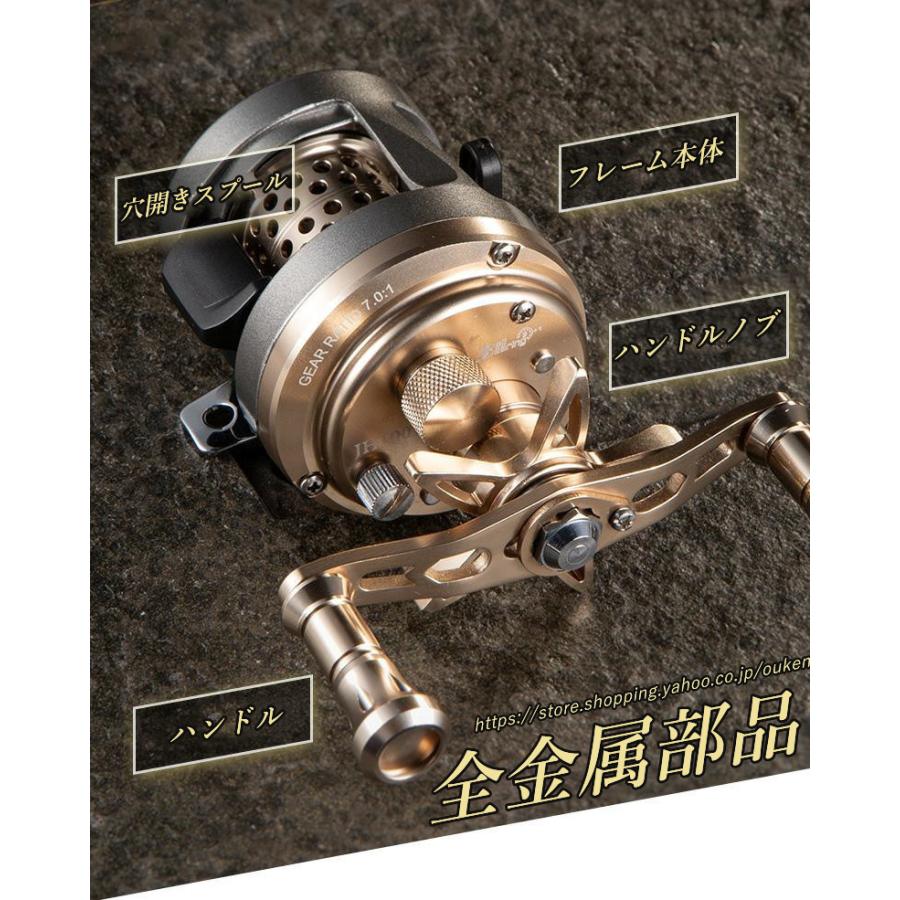 両軸リール 最大ドラグ力7kg 高剛性メタルフレーム ギア比7.0:1 両軸リール 最大ドラグ力7kg 高剛性メタルフレーム ギア比7.0:1