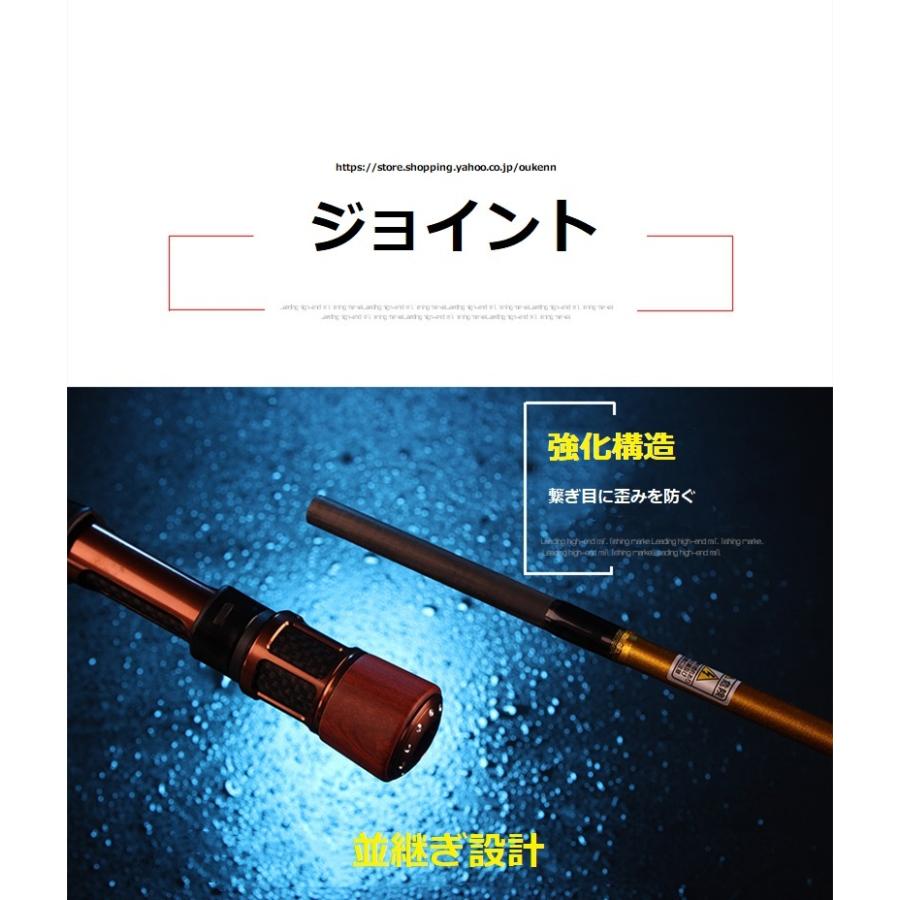 海龍王 筏竿 蒼龍III 海釣り 筏釣り カセ釣り 落とし込み ロッド 海龍王 筏竿 蒼龍III 海釣り 筏釣り カセ釣り 落とし込み ロッド