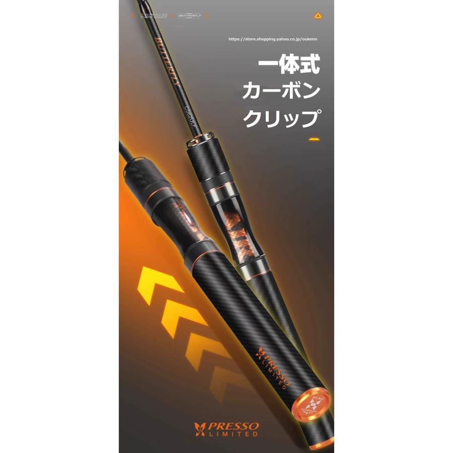 HASIDA シーバスロッド 胡蝶 キャスティング 釣竿 遠投型 磯釣り
