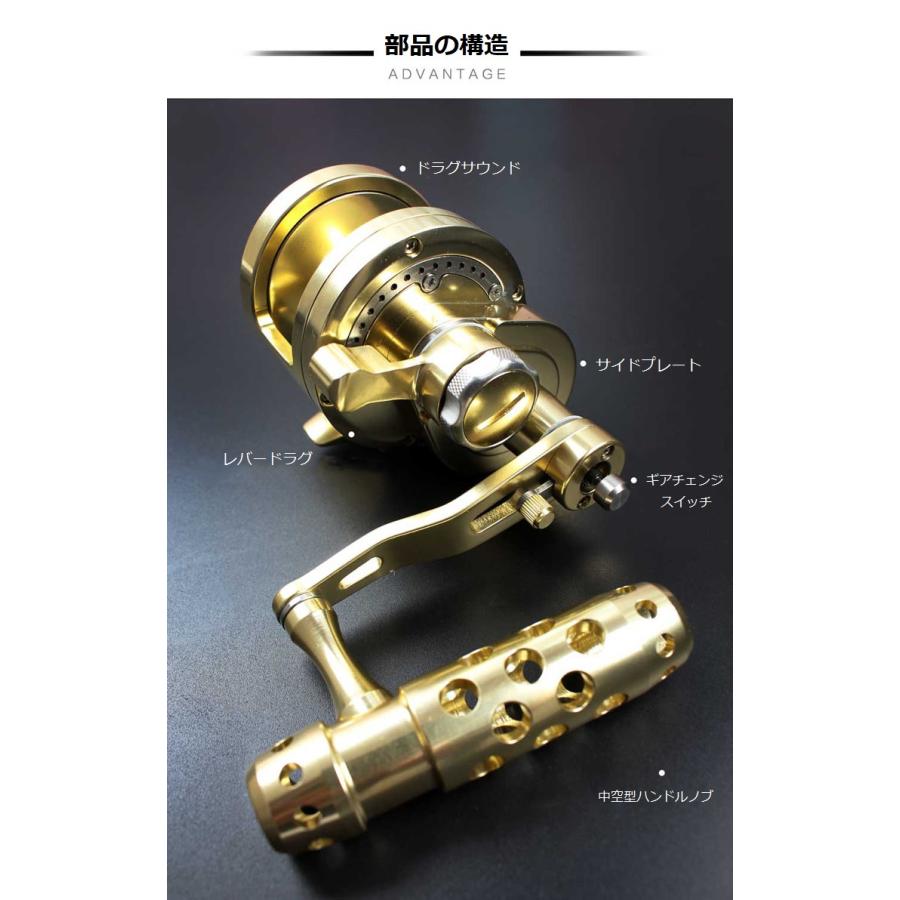 大型レバードラグ電動リール LEADDEERS レバードラグリール DEPTH CHARGEトローリング ジギング