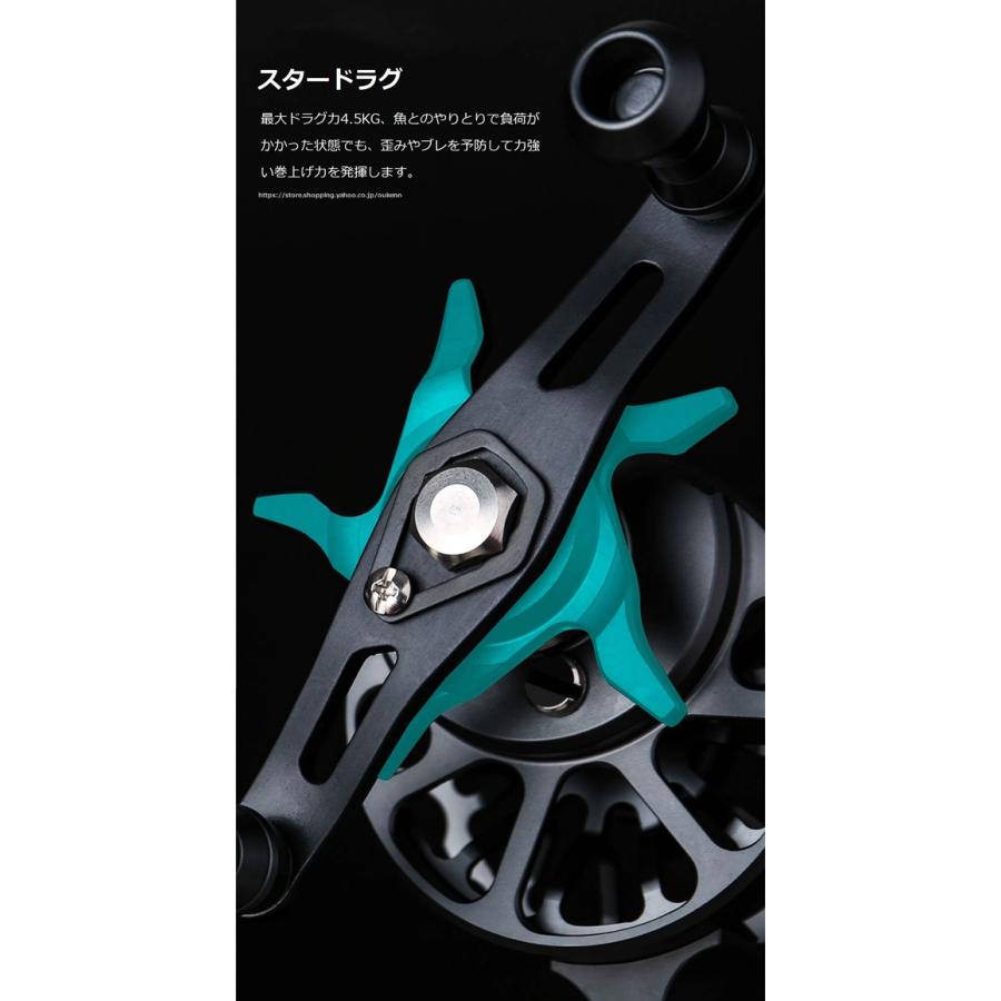 WLGS タイコリール 黒鯛 海筏 カセ釣り イカダリール ダブル WLGS タイコリール 黒鯛 海筏 カセ釣り イカダリール ダブル