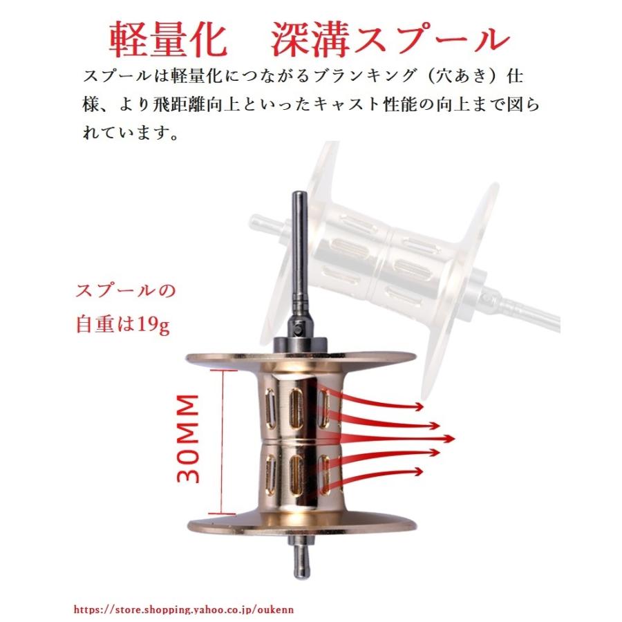 応談送料無料 ベイトリール 船用 手巻きリール 両軸 軽量 ギア比6.3：1金属製 最大ドラグ力16kg 海釣り 淡水釣り 両用 遠投 左ハンドル 右ハンドル 釣り用品 アウトドア