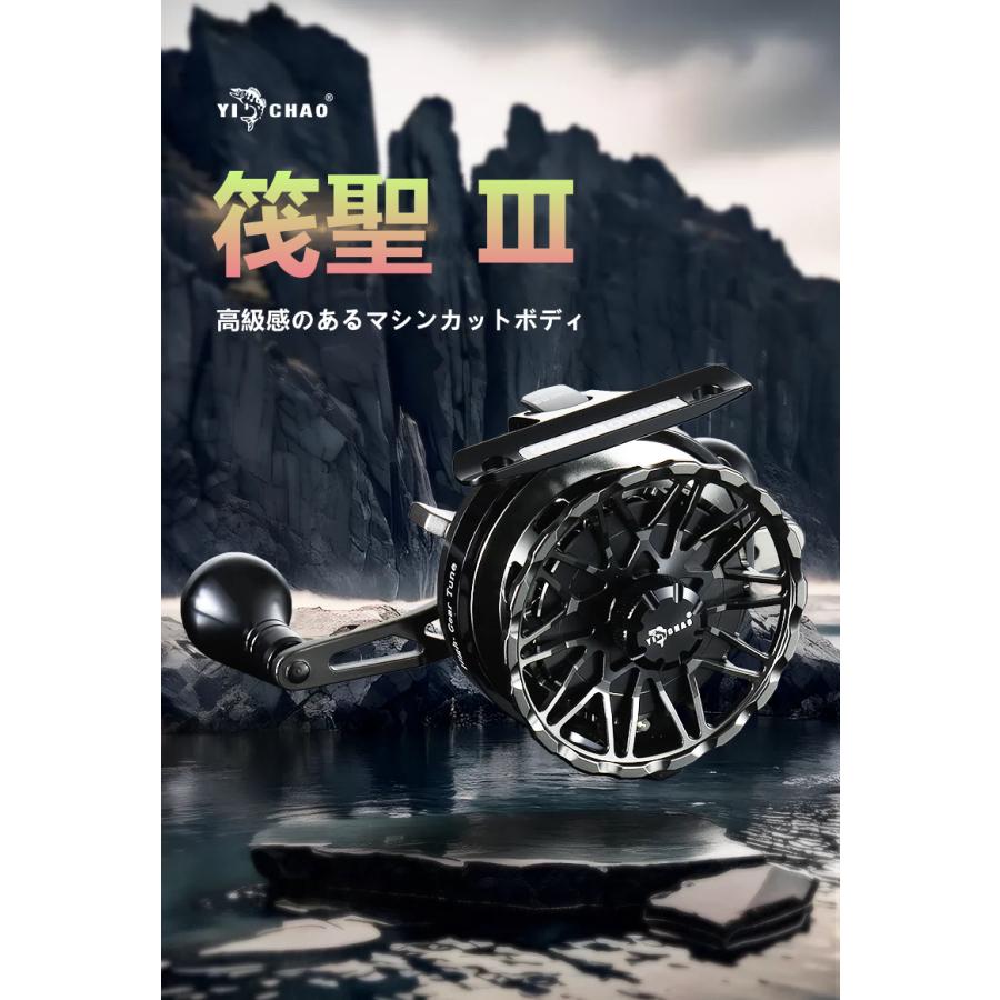 【5鉢セット　　発根活着済 】ボルシギアナ ホワイトタイガ 5鉢セット 発根活着済 】ボルシギアナ ホワイトタイガ 11本