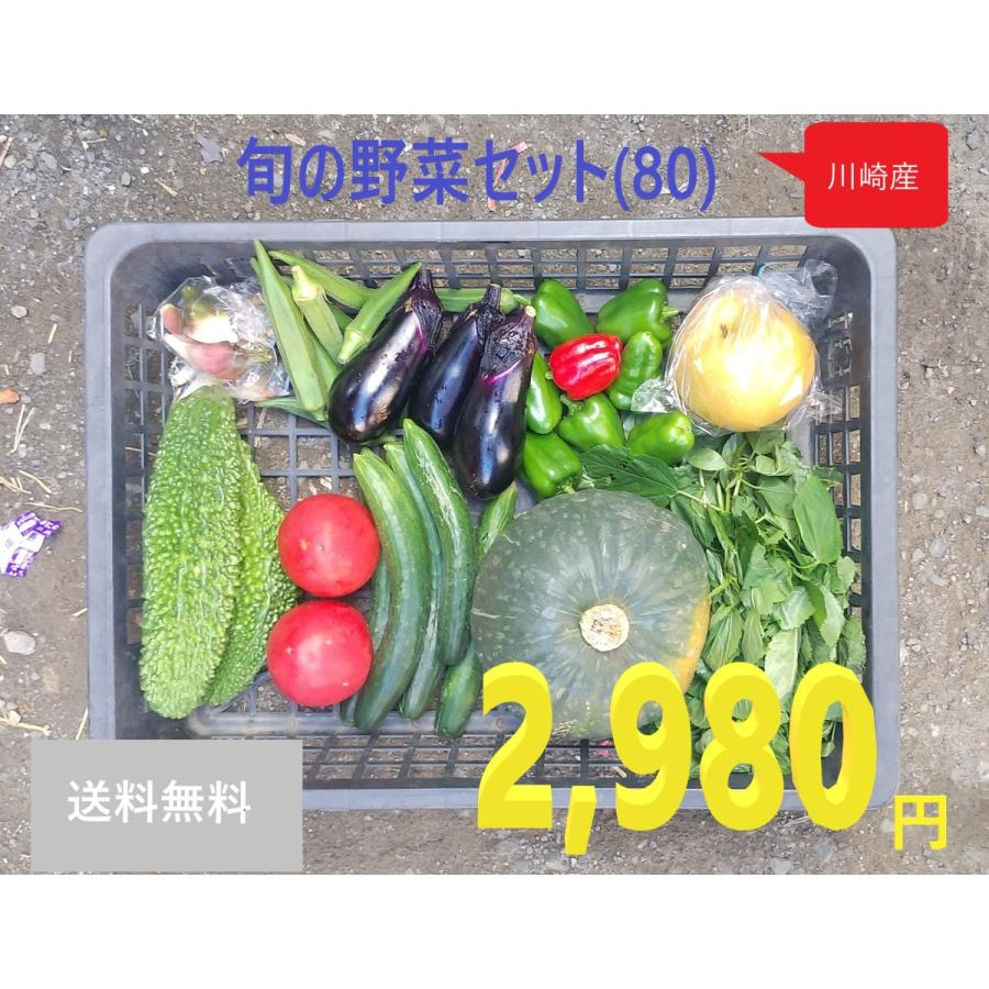 旬の野菜セット80（8〜10種）｜oumasan-club