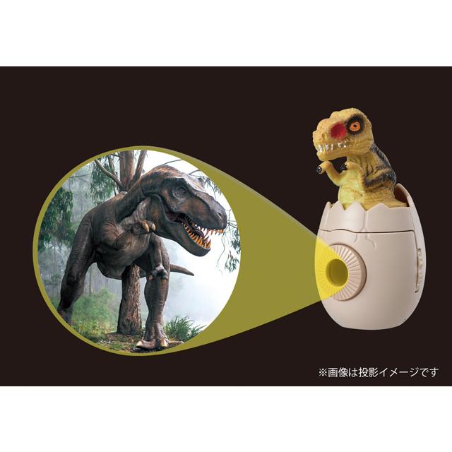 ディノプロジェクター 恐竜 24枚 フィルム3つ付 こども おもちゃ 知育玩具 アーテック 11960 | アーテック | 08