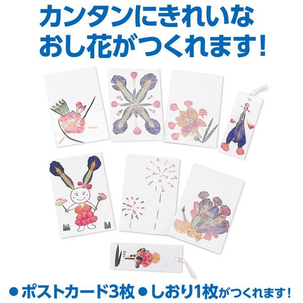 押し花セット 簡単 はがき しおり アーテック 2218 |  | 01