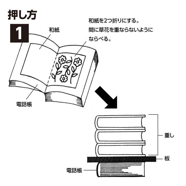 押し花セット 簡単 はがき しおり アーテック 2218 |  | 03