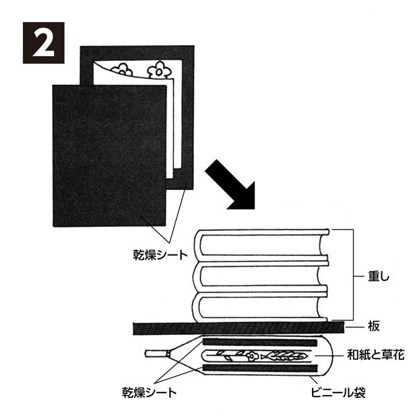 押し花セット 簡単 はがき しおり アーテック 2218 |  | 04