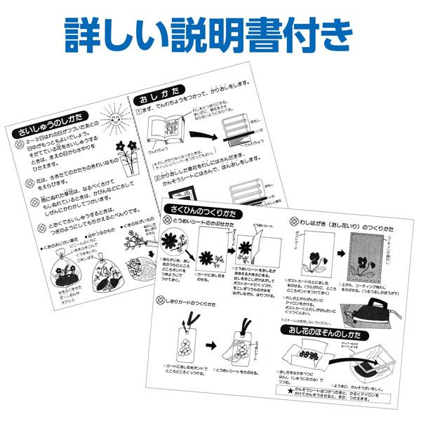 押し花セット 簡単 はがき しおり アーテック 2218 |  | 05