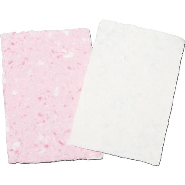 紙すきセット キット 牛乳パック 幼児向け 工作 実験 手作り オリジナル アーテック 2649 |  | 01