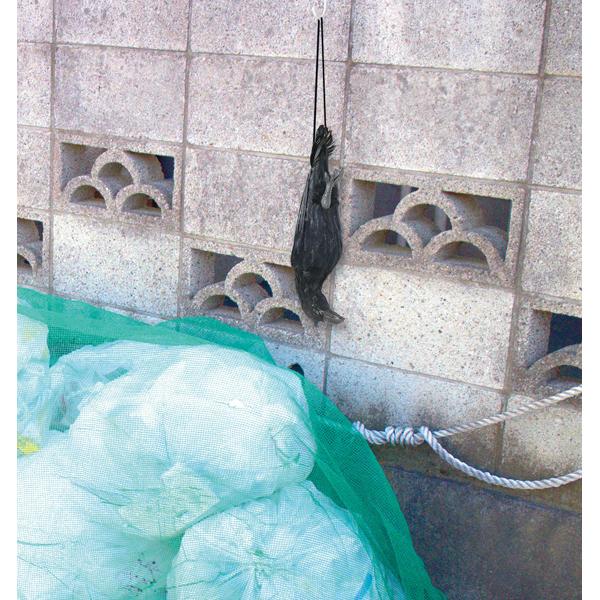 防鳥用 吊り下げカラス 対策 ハト ムクドリ スズメ 本物ソックリ にせカラス 鳥避け アーテック 36515 | アーテック | 03