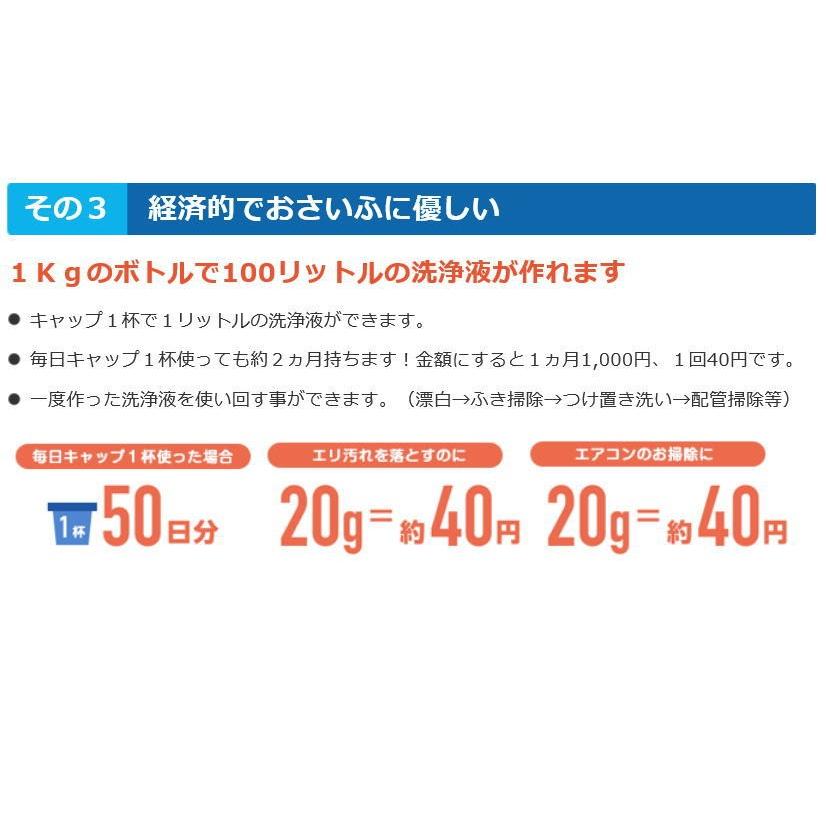 きれいッ粉 日本製 過炭酸ナトリウム洗浄剤 洗剤 漂白剤 お徳用 